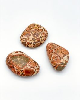 Rhyolite (Leopardite) $/Lbs